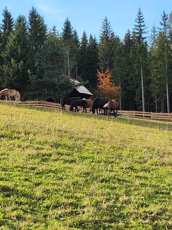 Appartamento Urige Waldbienenhuette Diex Esterno foto