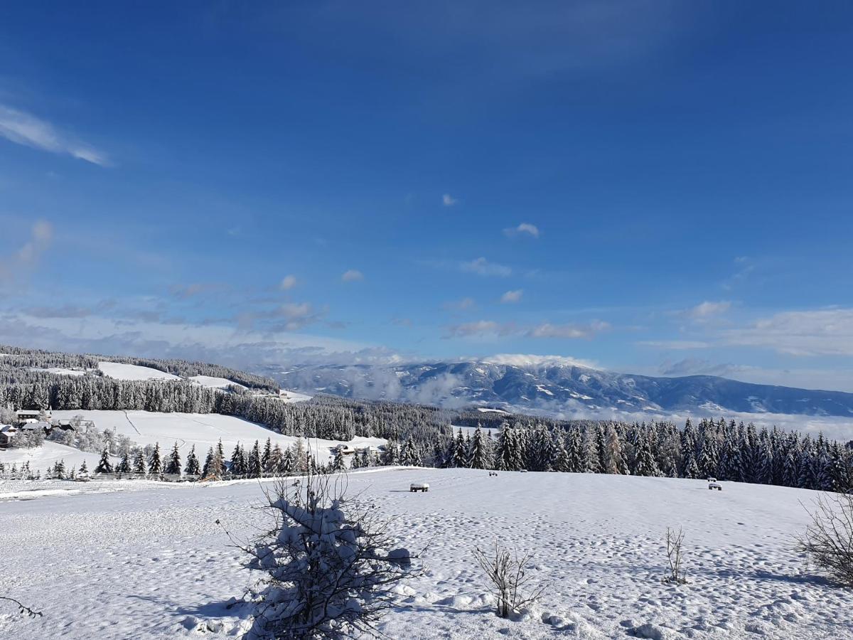 Appartamento Urige Waldbienenhuette Diex Esterno foto